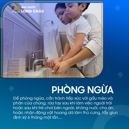 Bệnh Baylisascaris 7