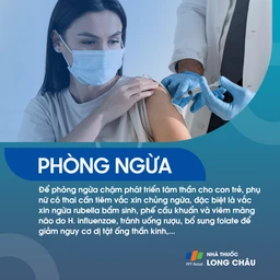 Chậm phát triển tâm thần 9