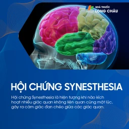 Hội chứng Synesthesia 1