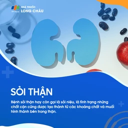 Bệnh sỏi thận là tình trạng hình thành các chất cặn cứng từ khoáng chất và muối bên trong thận