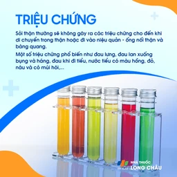 Triệu chứng sỏi thận - Đau quặn thận và khó tiểu do sỏi thận gây ra