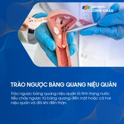 Trào ngược bàng quang niệu quản 1