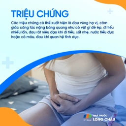 Viêm bàng quang mạn tính 2