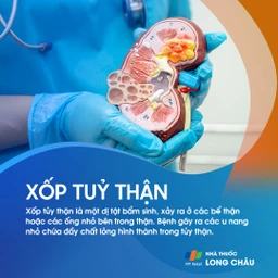 Xốp tủy thận 1