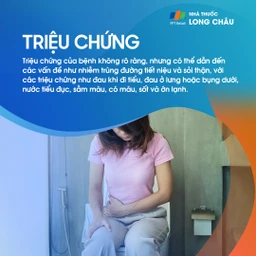Xốp tủy thận 2