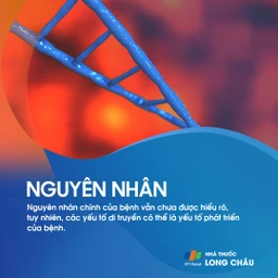 Xốp tủy thận 3