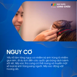 Nhiễm ký sinh trùng 4