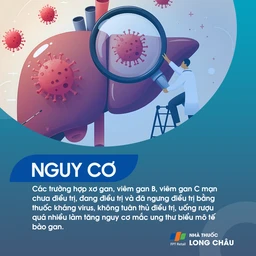 Ung thư biểu mô tế bào gan 4