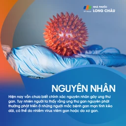 Ung thư gan nguyên phát 3