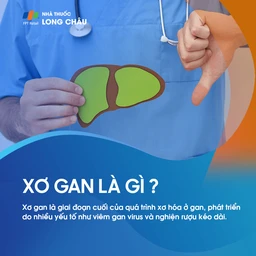 Xơ gan là tình trạng gan bị tổn thương nghiêm trọng và hình thành sẹo