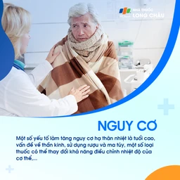 Hạ thân nhiệt 5