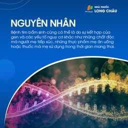 Thân chung động mạch 4