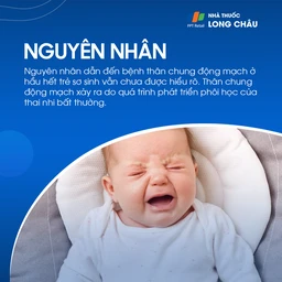 Thân chung động mạch 3