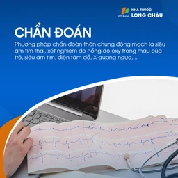 Thân chung động mạch 6