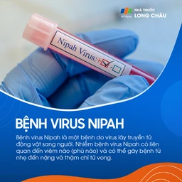 Virus nipah 1