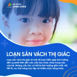 Loạn sản vách thị giác 1