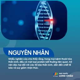 Thoái hóa thần kinh 3