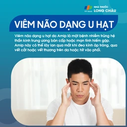 Viêm não dạng u hạt do Amip 1