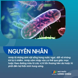 Viêm não dạng u hạt do Amip 3