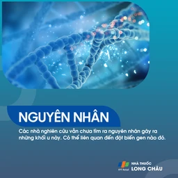 U màng ống nội tủy 3