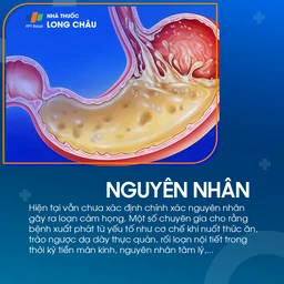 Loạn cảm họng 3