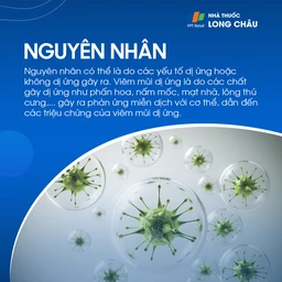 Viêm mũi mãn tính 3