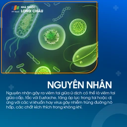 Viêm tai giữa ứ dịch 3