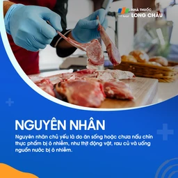 Nhiễm giun tròn 4