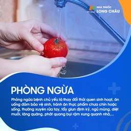 Nhiễm giun tròn 8