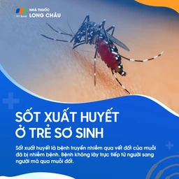 Sốt xuất huyết 2