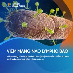 Viêm màng não lympho bào 1