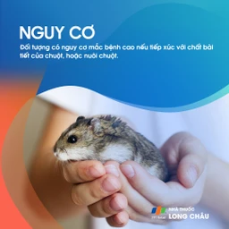 Viêm màng não lympho bào 5