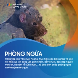 Viêm màng não lympho bào 8