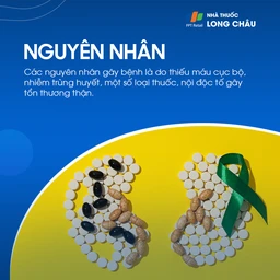 Hoại tử ống thận cấp 3