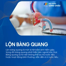 Lộn bàng quang 1