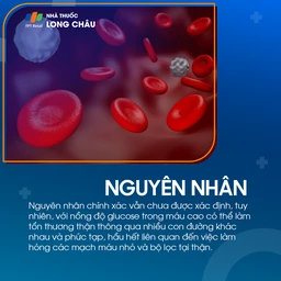 Thận đái tháo đường 3