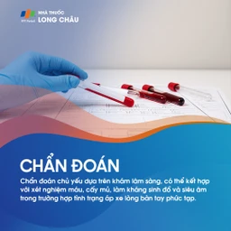 Áp xe lòng bàn tay 5