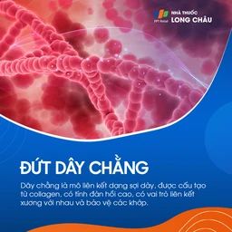 Đứt dây chằng 2