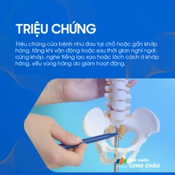 Hẹp khe khớp háng 2