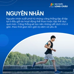 Viêm gân bánh chè 3