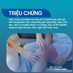Viêm gân tứ đầu đùi 2