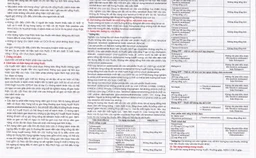 Thuốc Tenoqkay 25mg Phương Đông điều trị bệnh viêm gan siêu vi B mạn tính (3 vỉ x 10 viên)