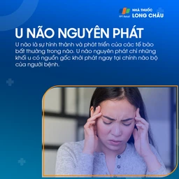 U não nguyên phát 1