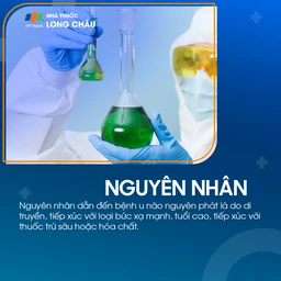 U não nguyên phát 3