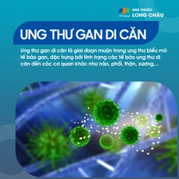 Ung thư gan di căn 1