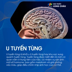 U tuyến tùng 1