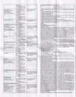 Thuốc Alavir Tenofovir alafenamide (Fumarate) 25mg Herabiopharm điều trị bệnh viêm gan B mạn tính (30 vỉ x 10 viên)