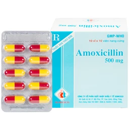 Thuốc Amoxicillin 500mg Domesco điều trị nhiễm khuẩn (10 vỉ x 10 viên) 1