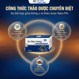 Viên uống giúp bổ thận, giảm tiêu đêm tiểu ngày nhiều lần Ấn Thủy Vương Kingphar (4 vỉ x 10 viên) 4