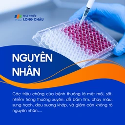 Nguyên nhân bạch cầu chưa rõ ràng, có thể liên quan đến di truyền, đột biến gen trong tủy xương và yếu tố môi trường